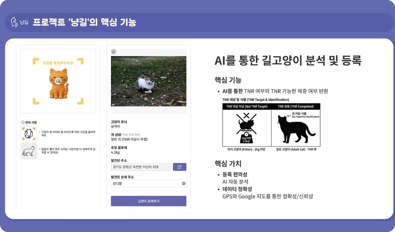 로우코드 개발 공모전 수상팀 E:UM의 AI 분석 기능
