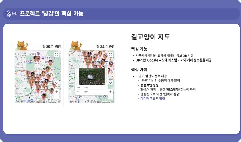 로우코드 개발 공모전 수상팀 E:UM의 길고양이 지도