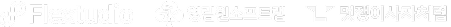 플렉스튜디오, 영림원소프트랩, 멋쟁이사자처럼 로고 플렉스튜디오, 영림원소프트랩, 멋쟁이사자처럼 로고